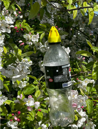 WaspWardon