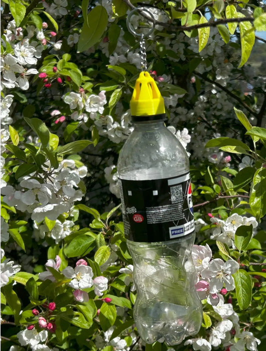 WaspWardon